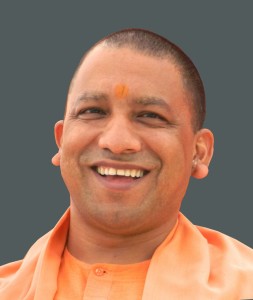 yogi